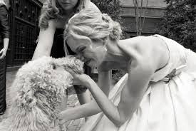 8 Ways in Which Your Pet Can Be a Part of Your Wedding Festivities