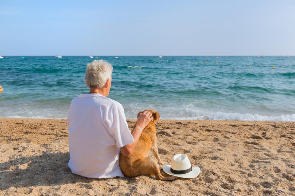 Why Dogs Make the Perfect Christmas Gift for Seniors