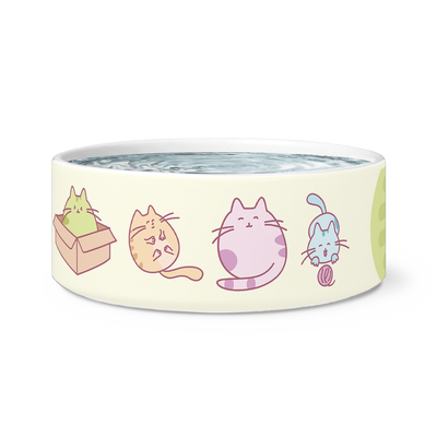 Cat Bowl "Funny Cute Cats"